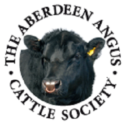 South West of England Aberdeen Angus Club - 🎉HERD WALK🎉 SUNDAY 18th ...