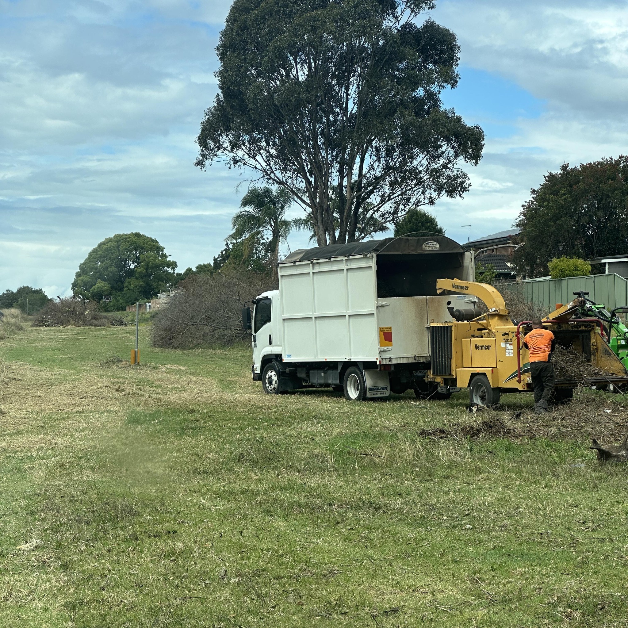 HighPoint Trees | Carlingford NSW