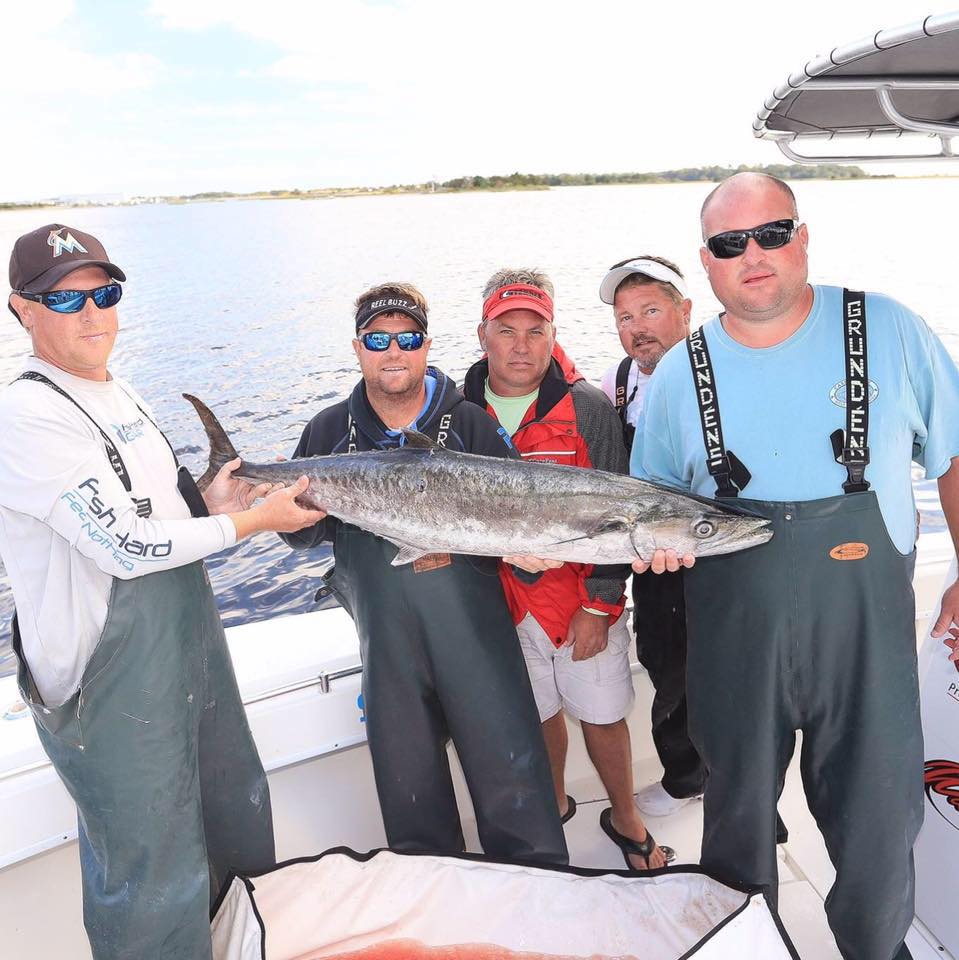 buzz reel fishing reel Proper maximizing time on the water Best Buzz Bait Reel |