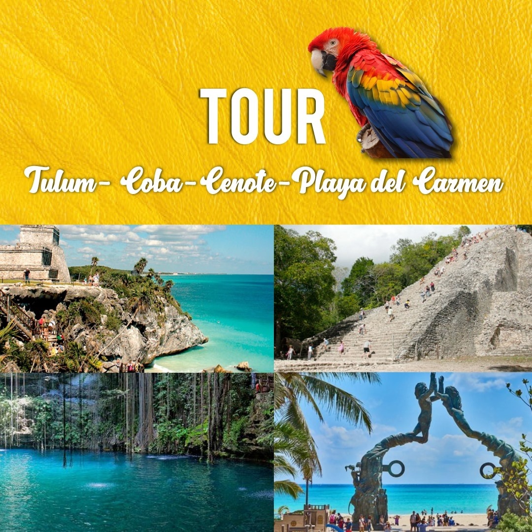 Tour Tulum Coba Cenote Playa del Carmen | Cancún