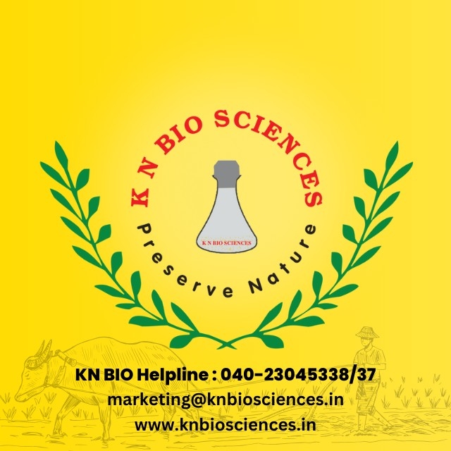 KN Biosciences