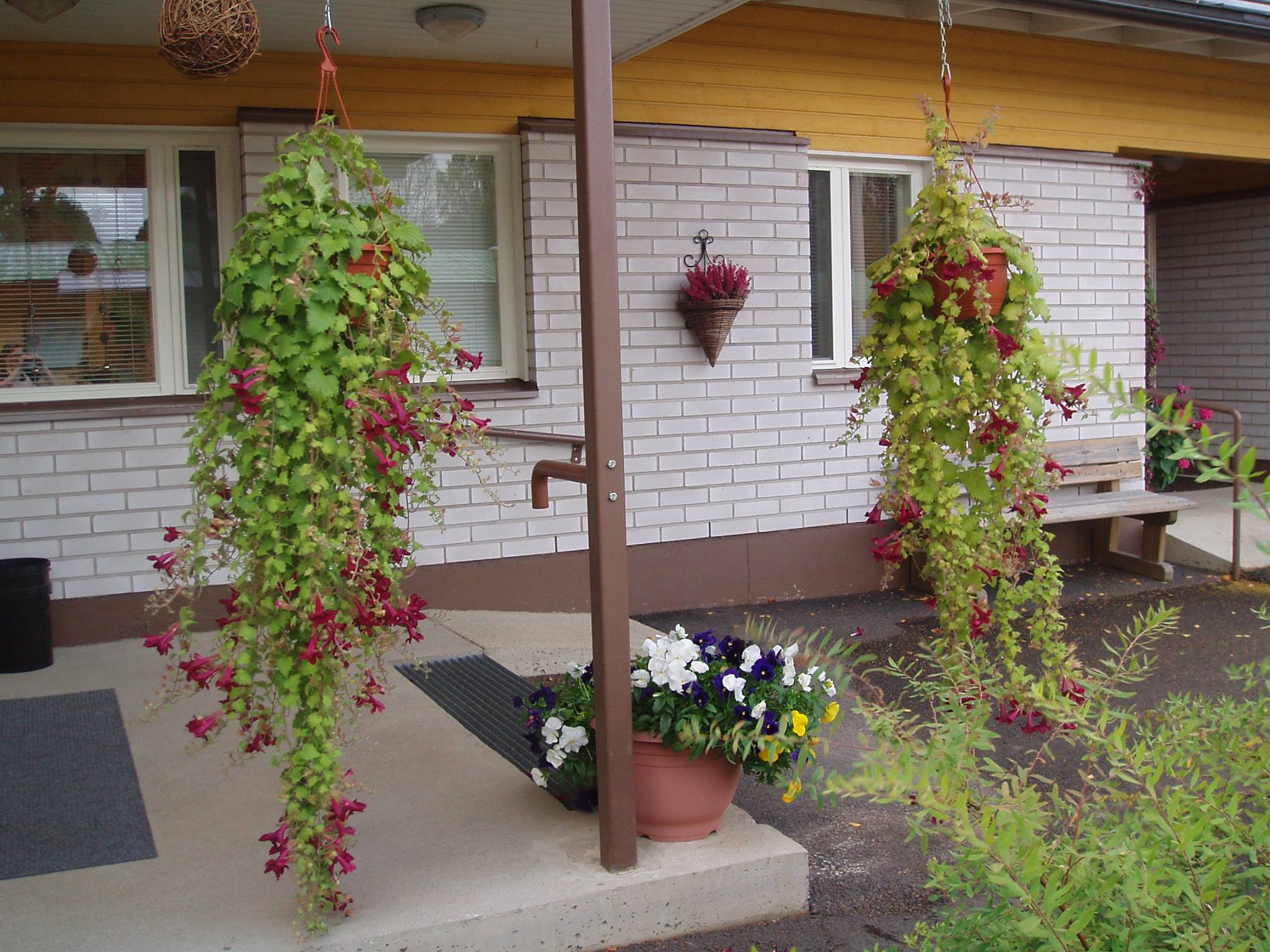 kuonalantien-ryhm-koti-added-a-kuonalantien-ryhm-koti