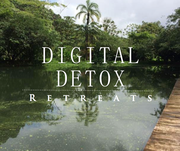 View of Digital Detox Retreats