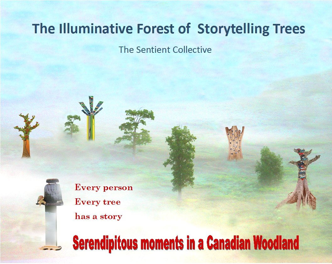 Illuminative Forest of Storytelling Trees | Waterloo ON