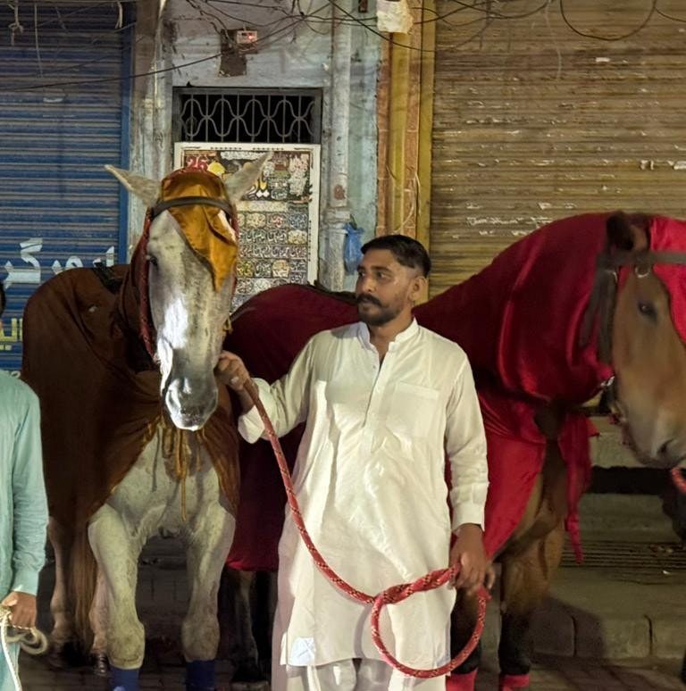Ali Haider