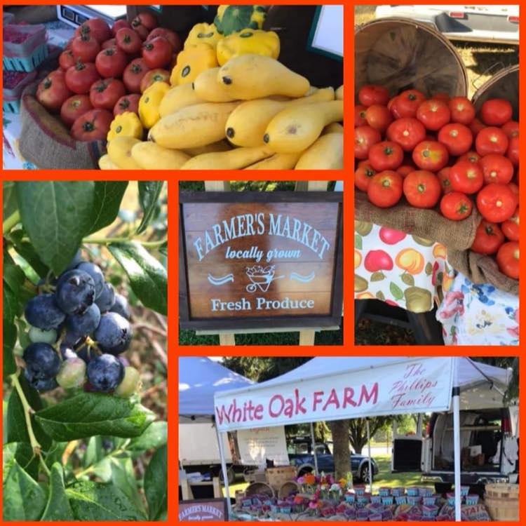 White oak farm" | North Scituate RI