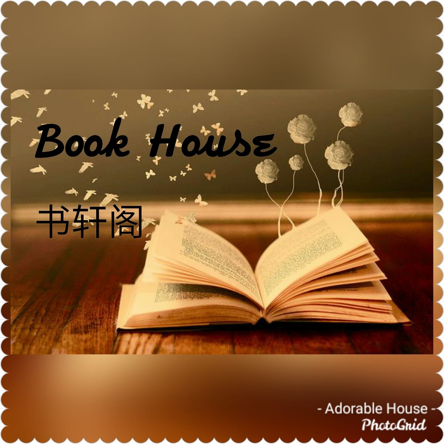 Book House 书轩阁