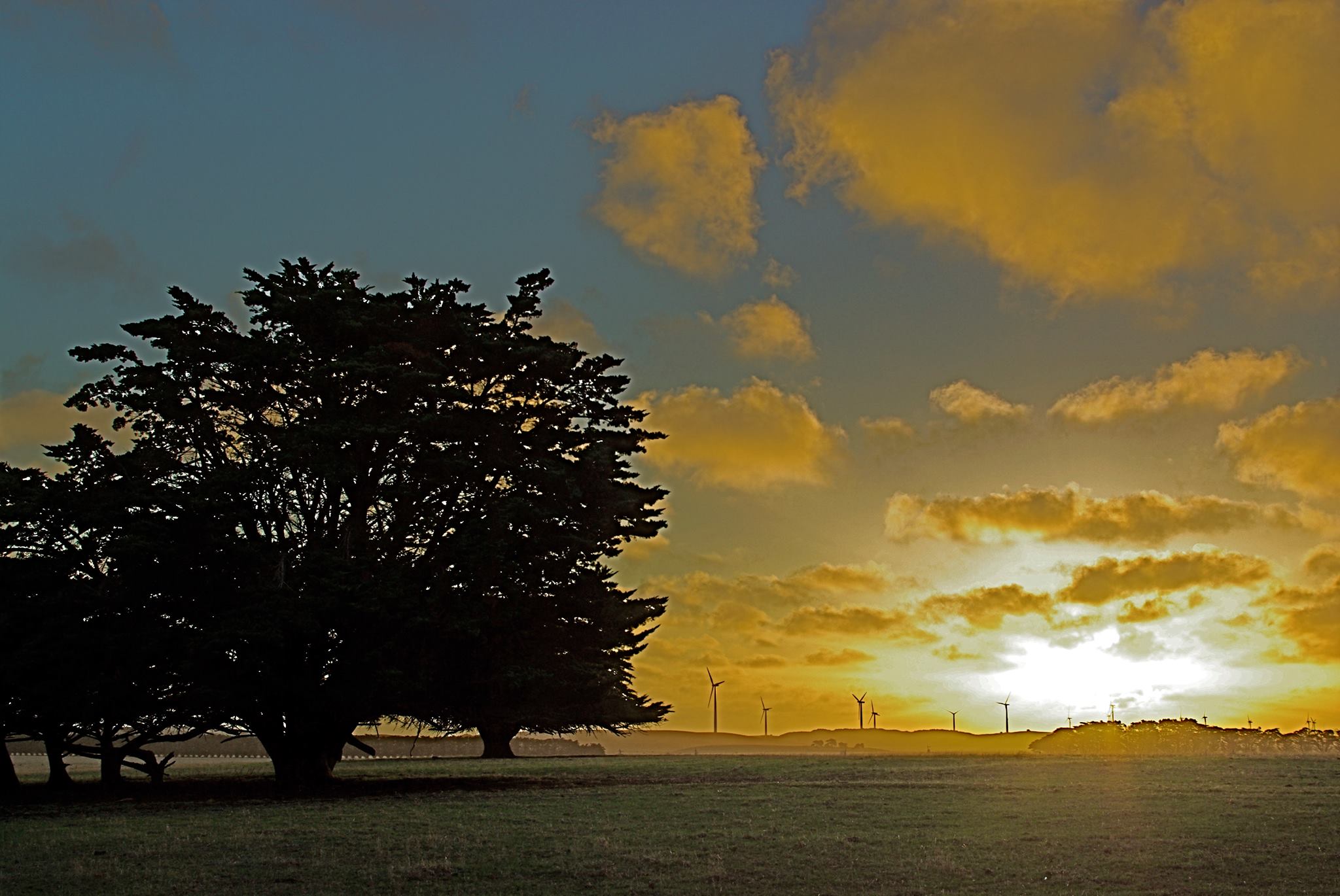 Codrington Settlement and Gardens | Yambuk VIC