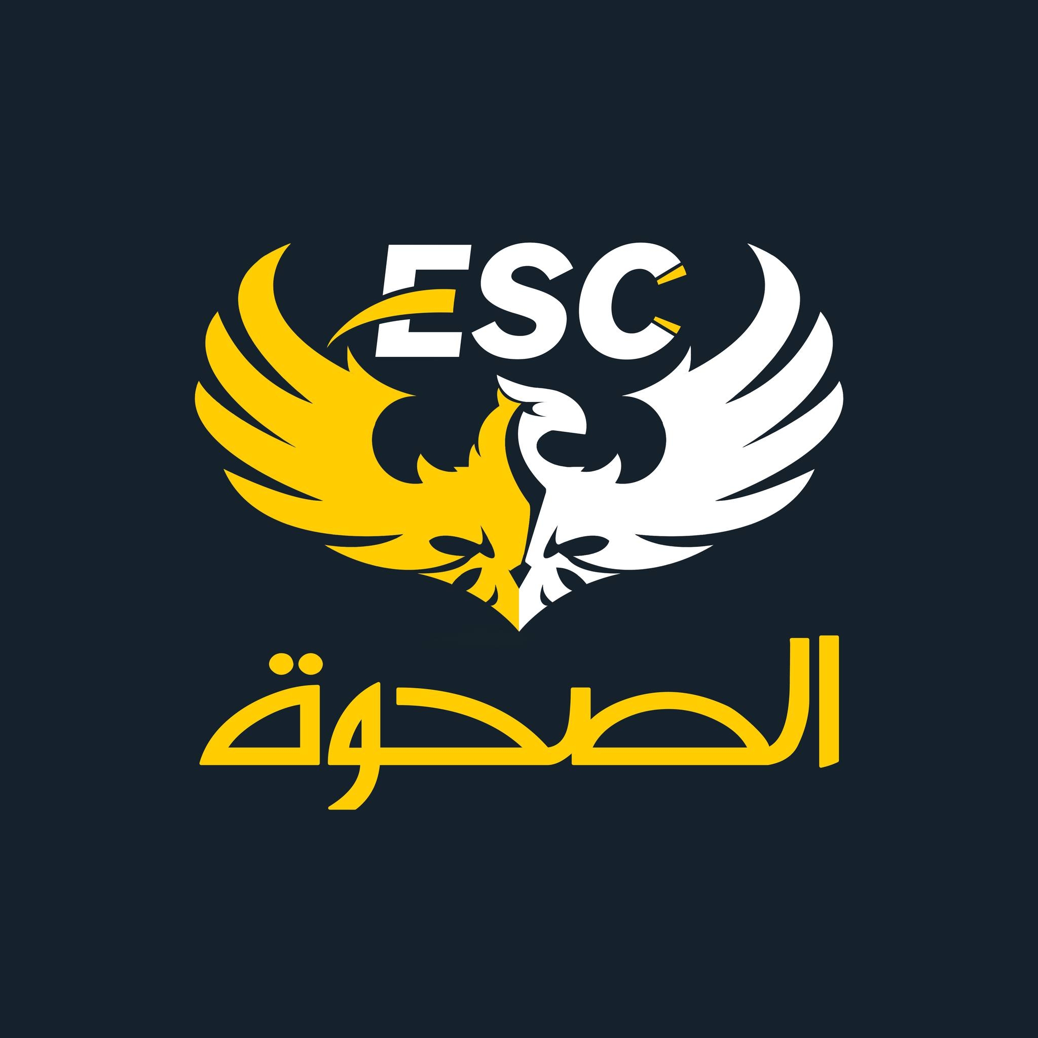 شركة الصحوه للكمبيوتر Elsahwa Computer Stores | Giza
