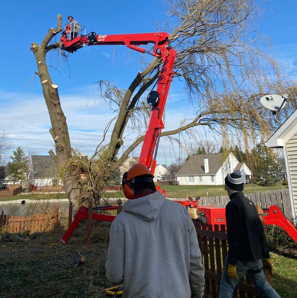 Blue Ox Tree Care of Indiana | Indianapolis IN