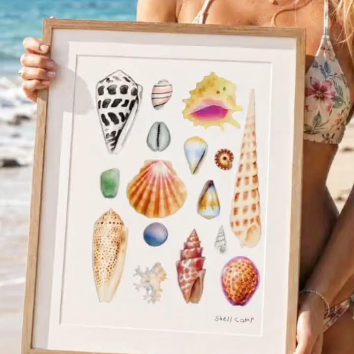 🐚🔍 Ever found a seashell with a perfectly round hole? Predatory sea ...