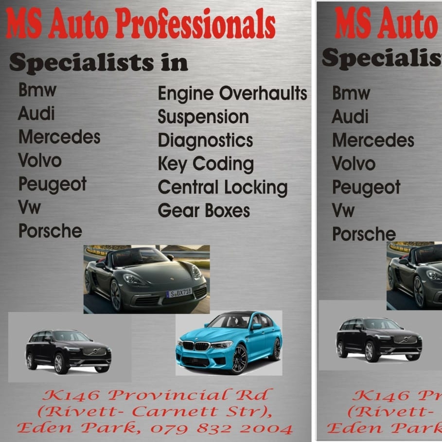 MS AUTO Professionals