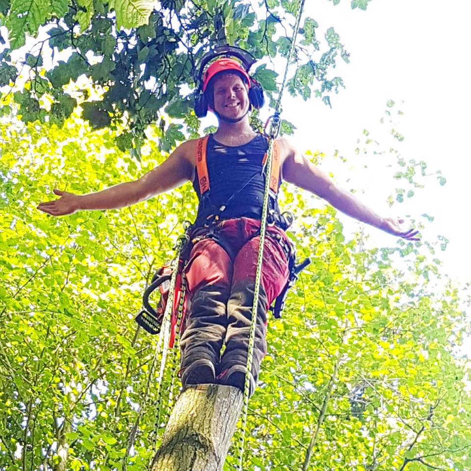 Henry’s Tree Services | Norwich