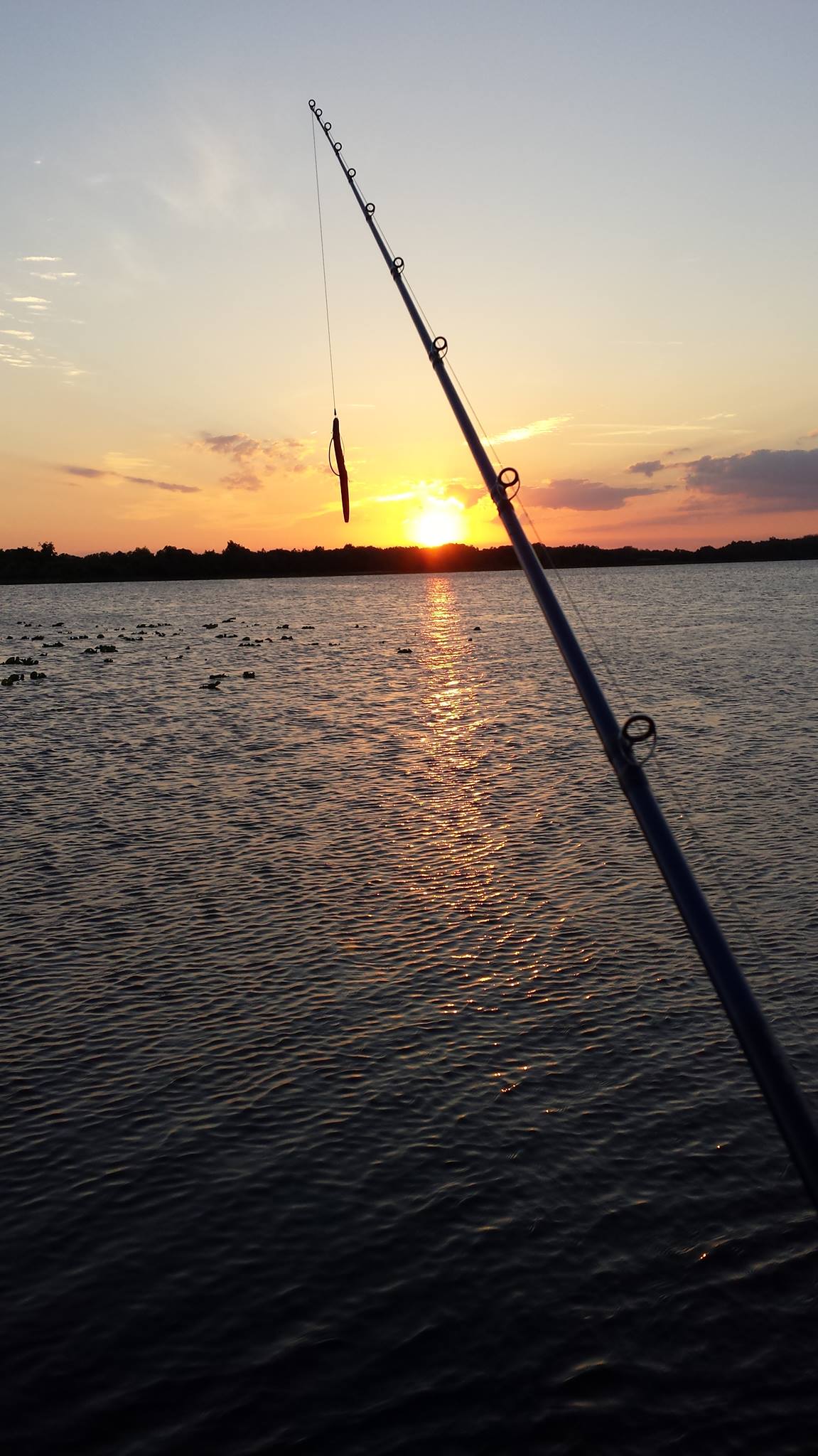 FDX Custom Rods | Haines City FL