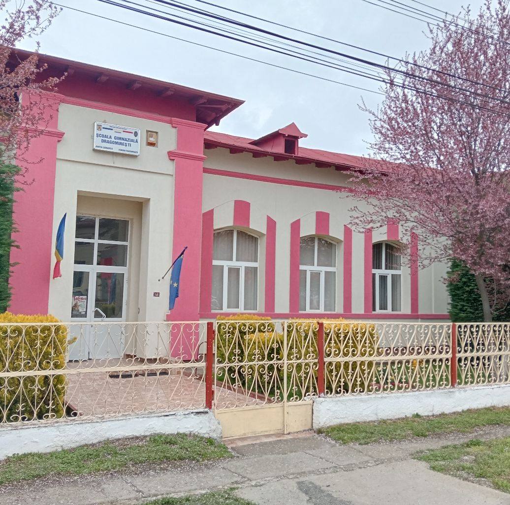 Radu Ancuta Mimi