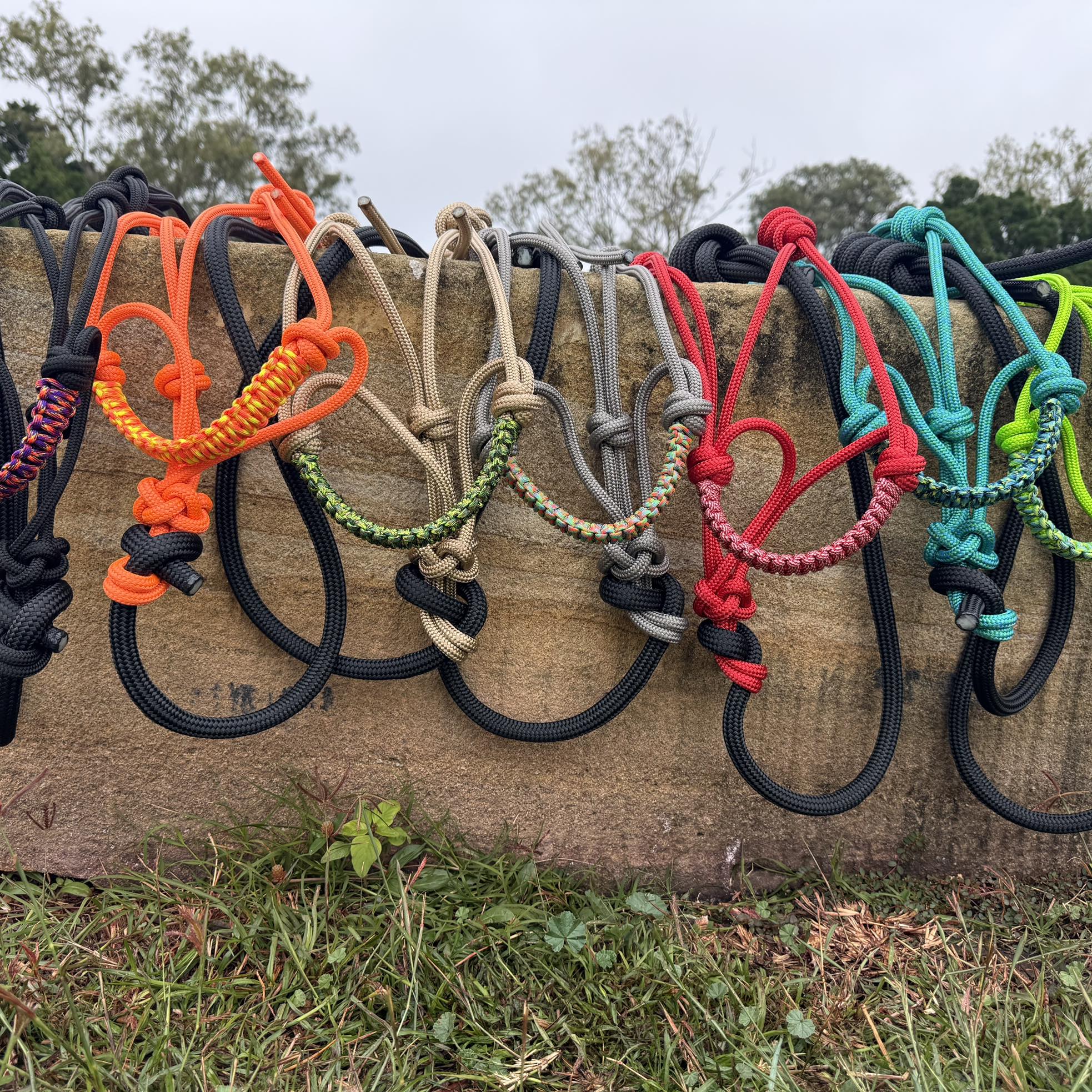 Popes Rope Halters & Bridles | Capella QLD