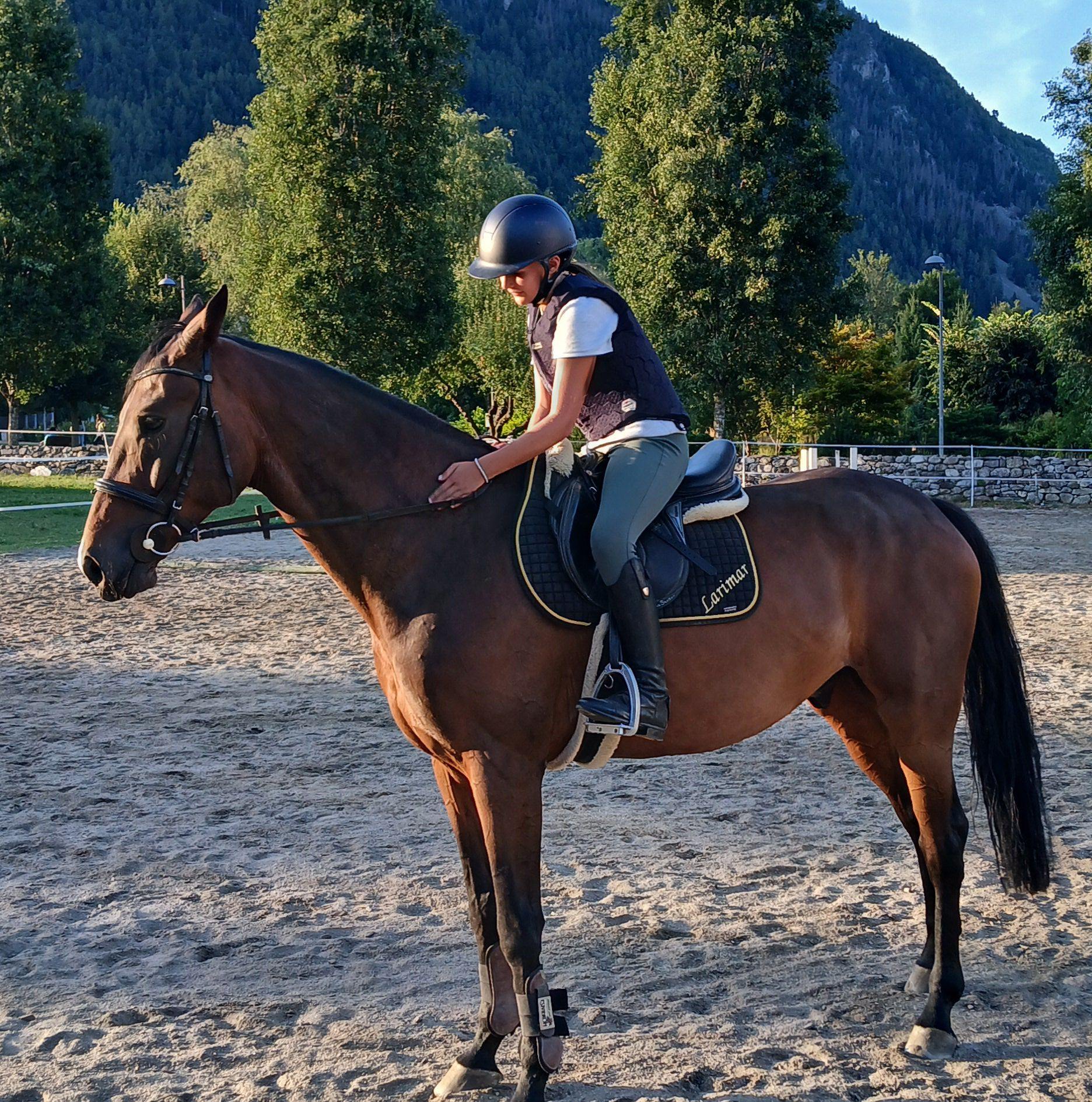 Selleria Sem | Bruneck