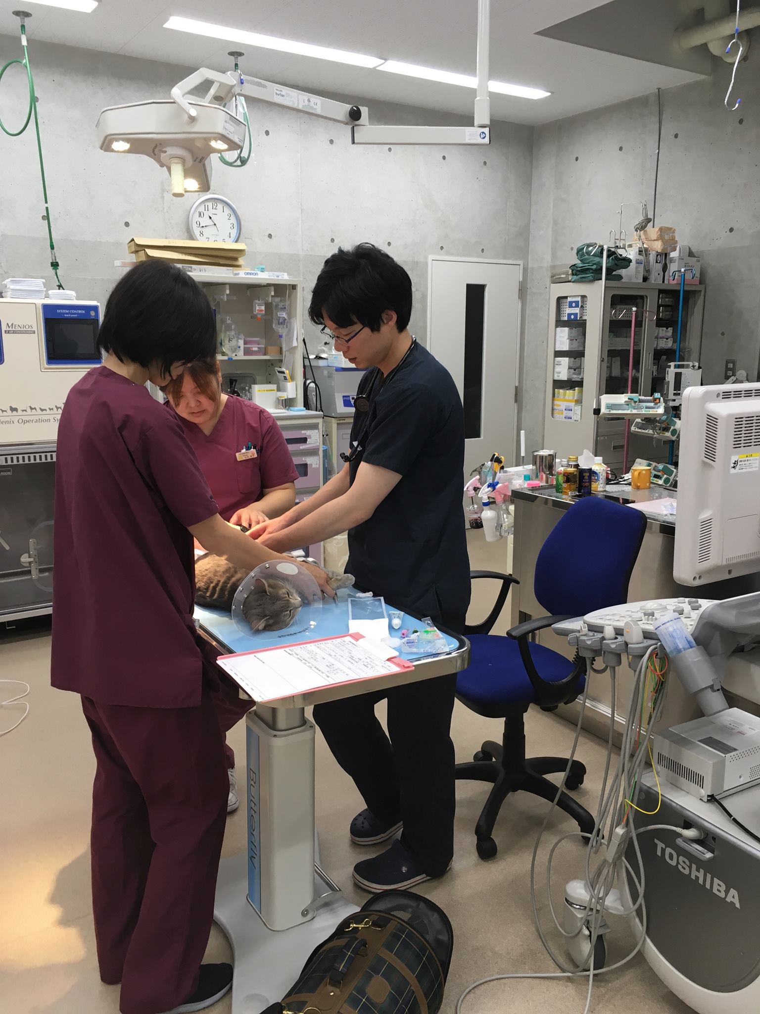 京都 夜間 動物 救急 センター