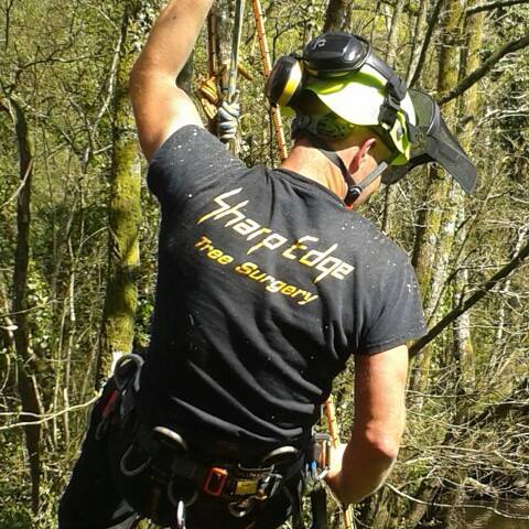 Sharp Edge Tree Surgery & Chain Saw Repairs | Holsworthy