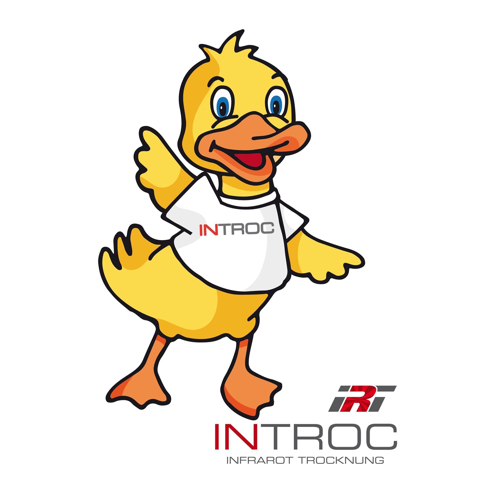 Introc Infrarot Trocknung | Wien