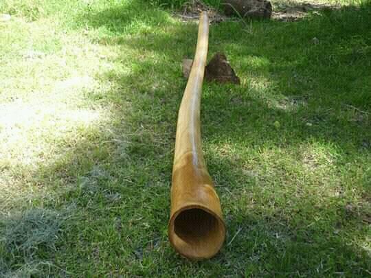 Didgeridoo Rosario,instrumento musical