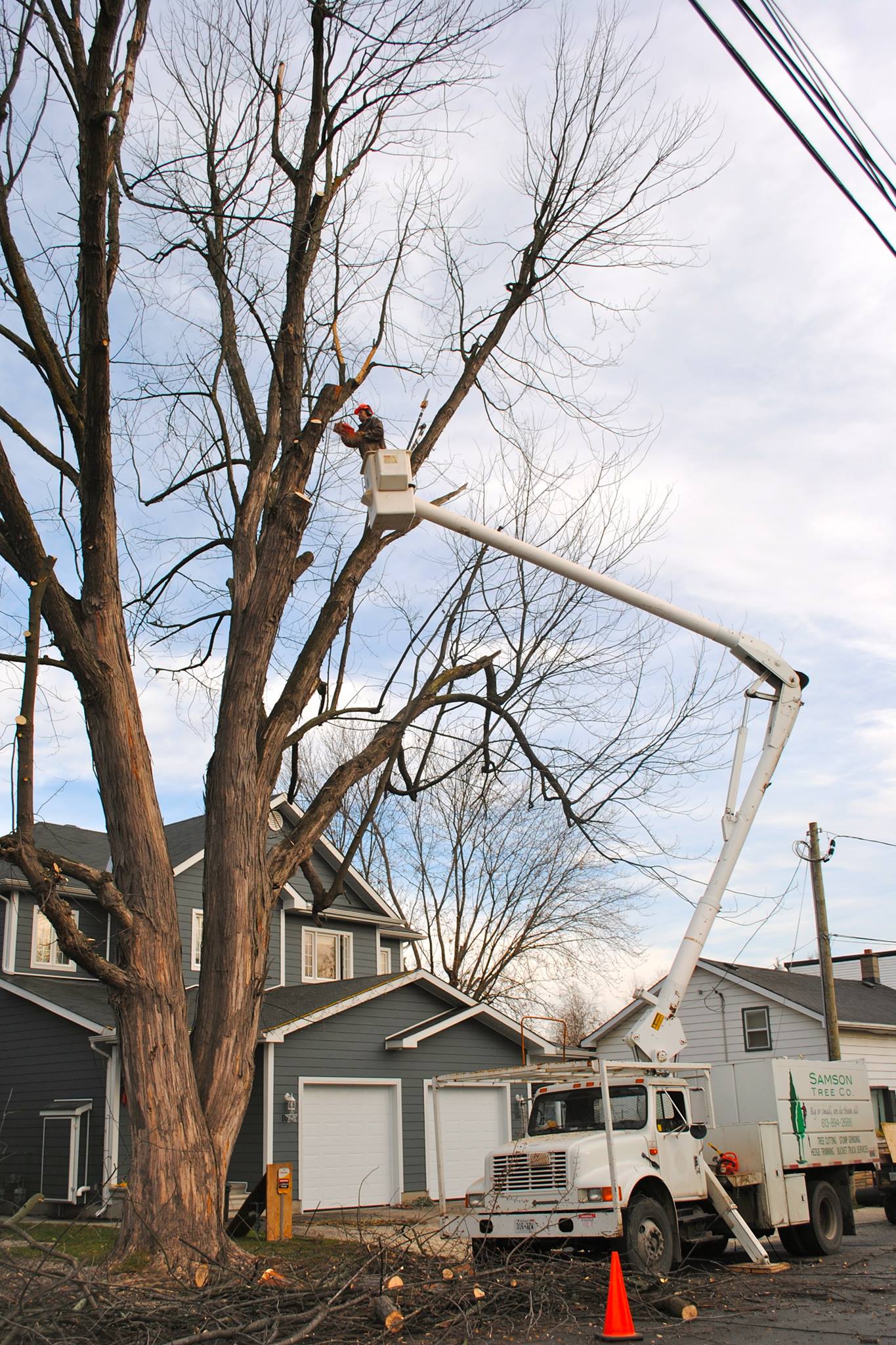 Samson Tree Company | Russell ON