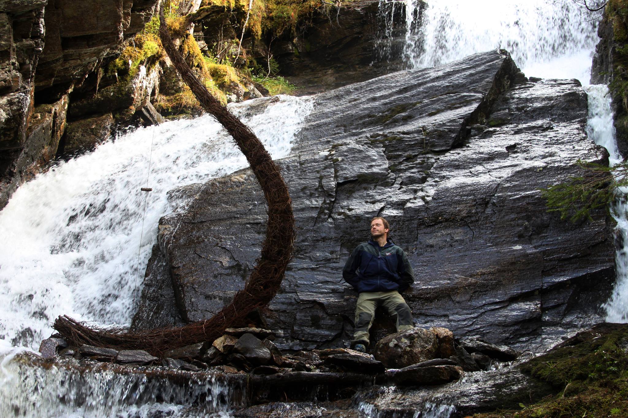 Landart Torvik | Surna