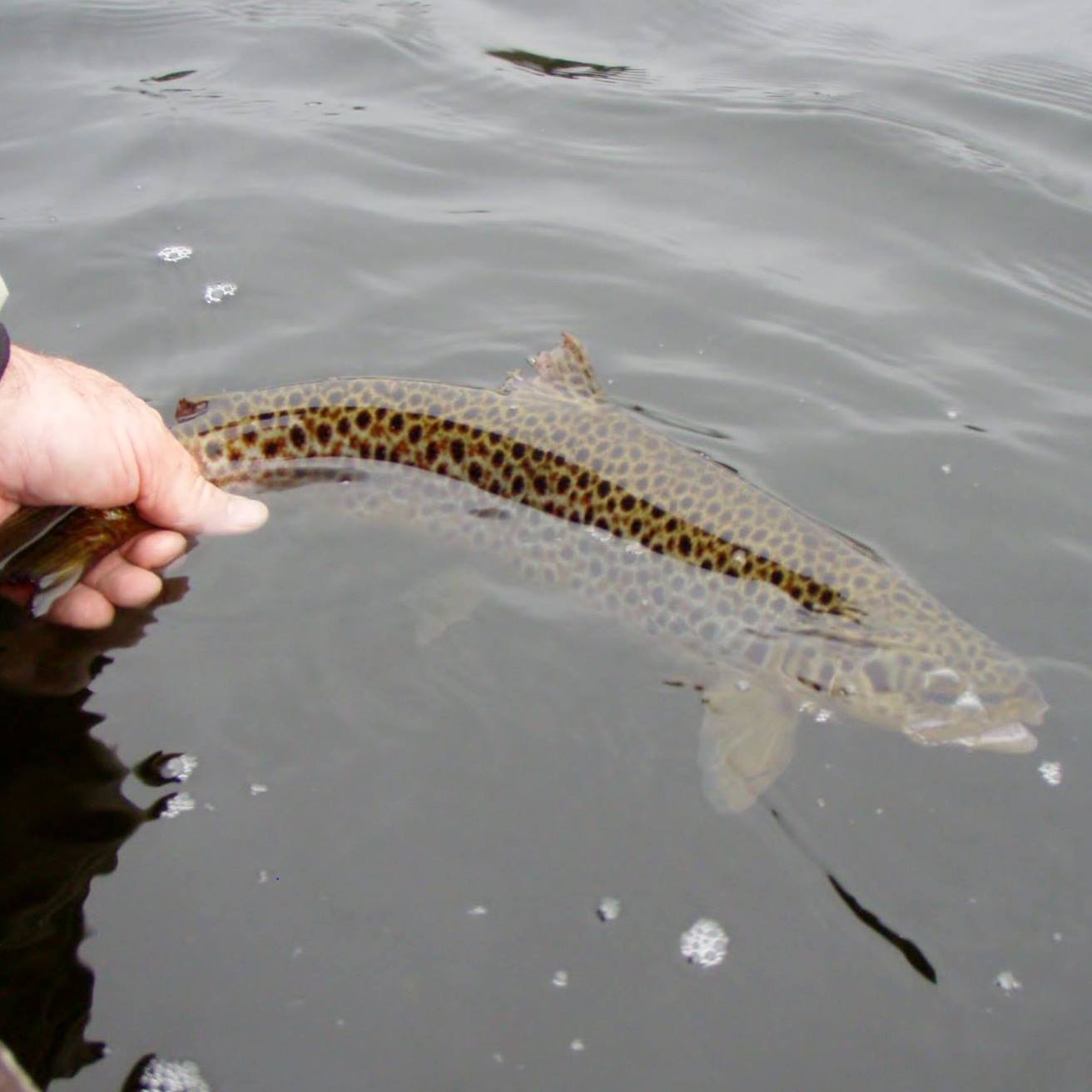 Lough Corrib Fishing