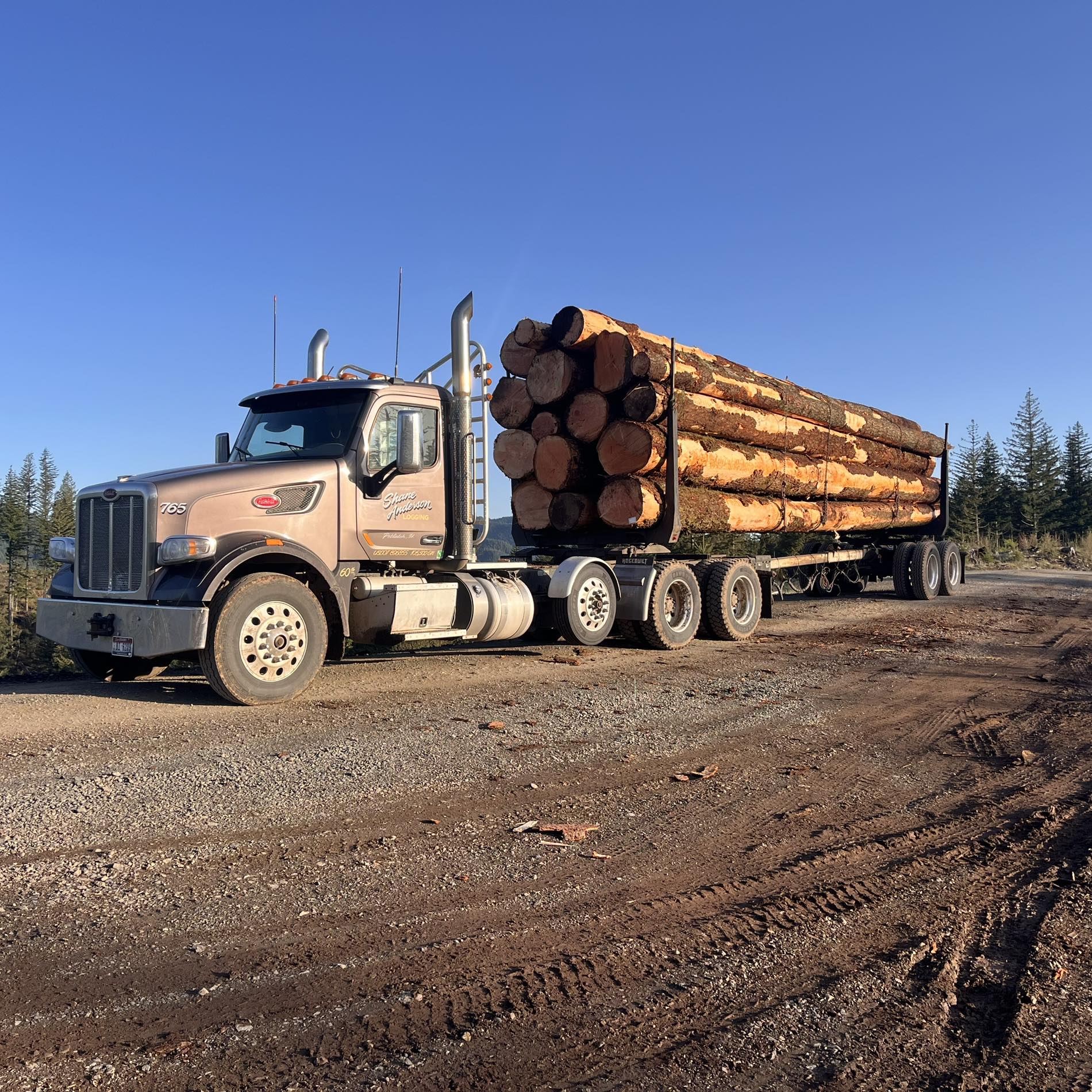 Shane Anderson Logging