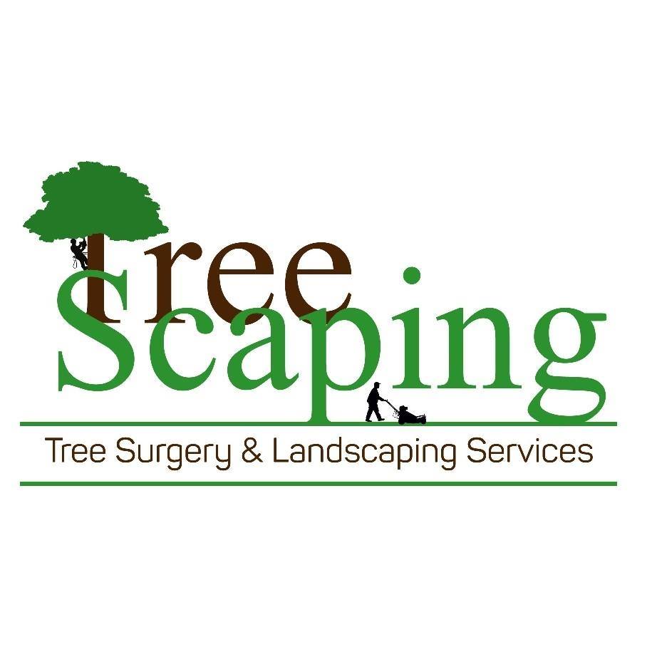 Treescaping | Huddersfield