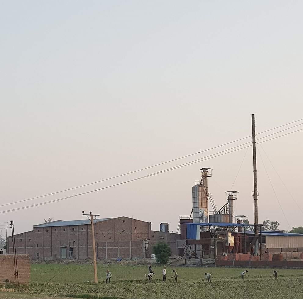 M/s Shree Radha Krishna Rice Mill | Pehowa