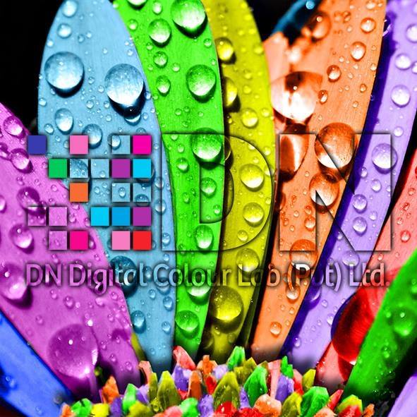 DN Digital Colour LAB | Panadura