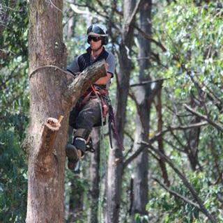 Impulse Tree Solutions | Neerim South VIC