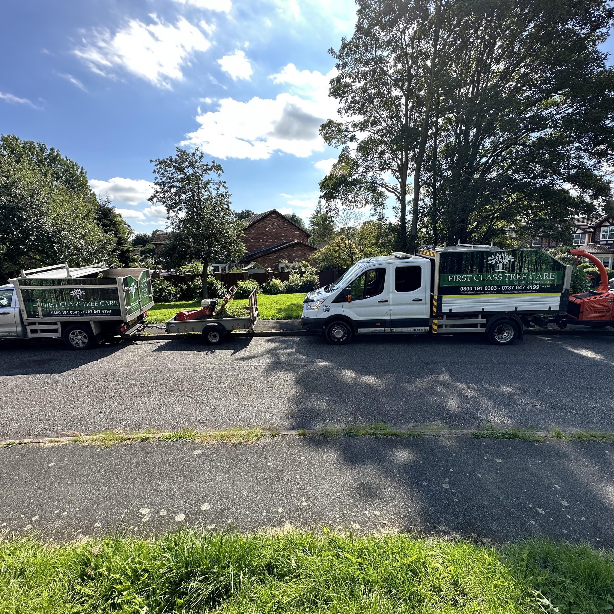 First class tree care | Winsford