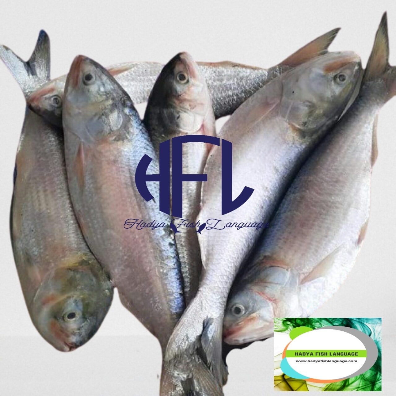 Hadya Product Line Bangladesh