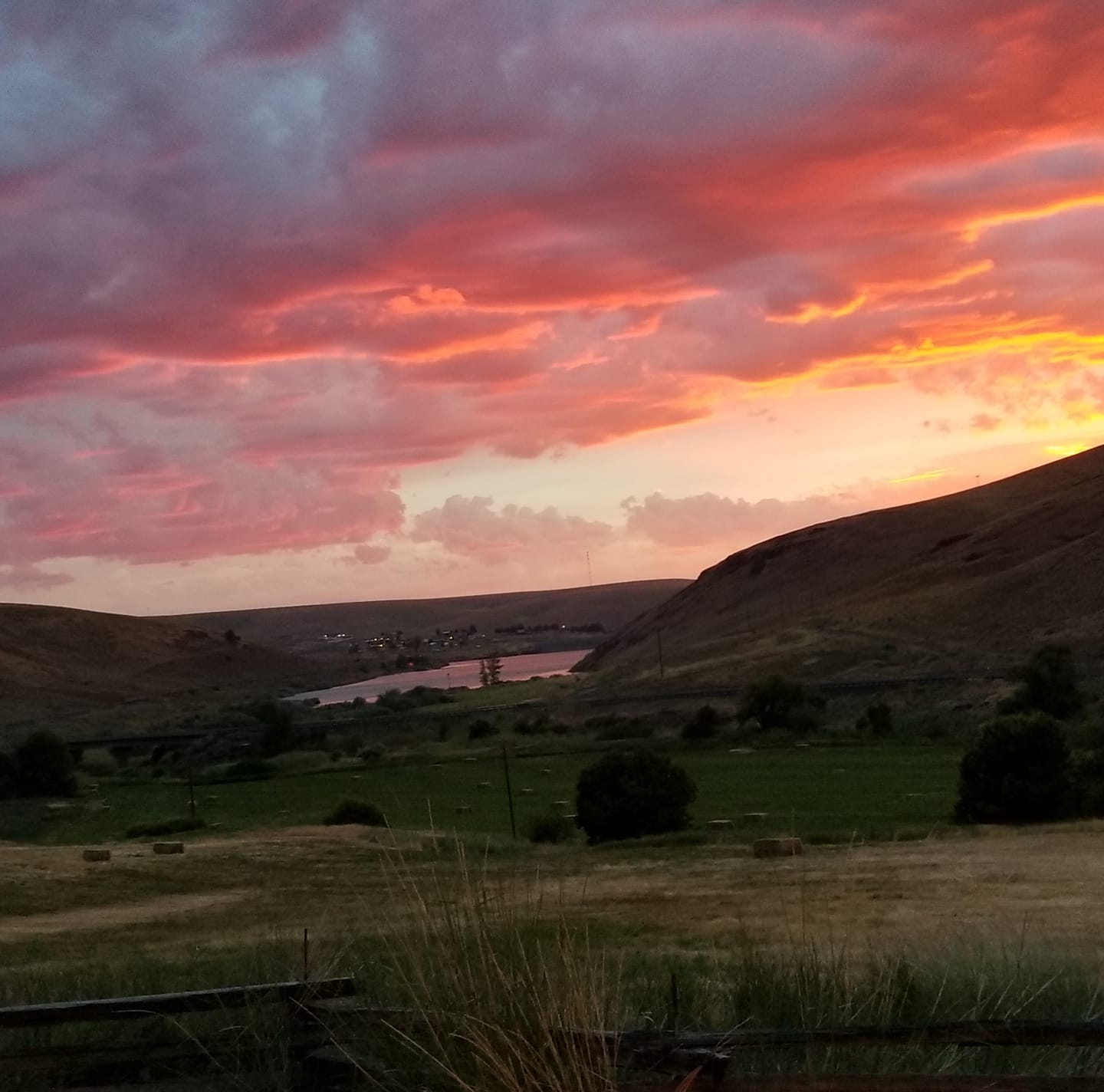 Wilkinson Ranches LLC | Heppner OR