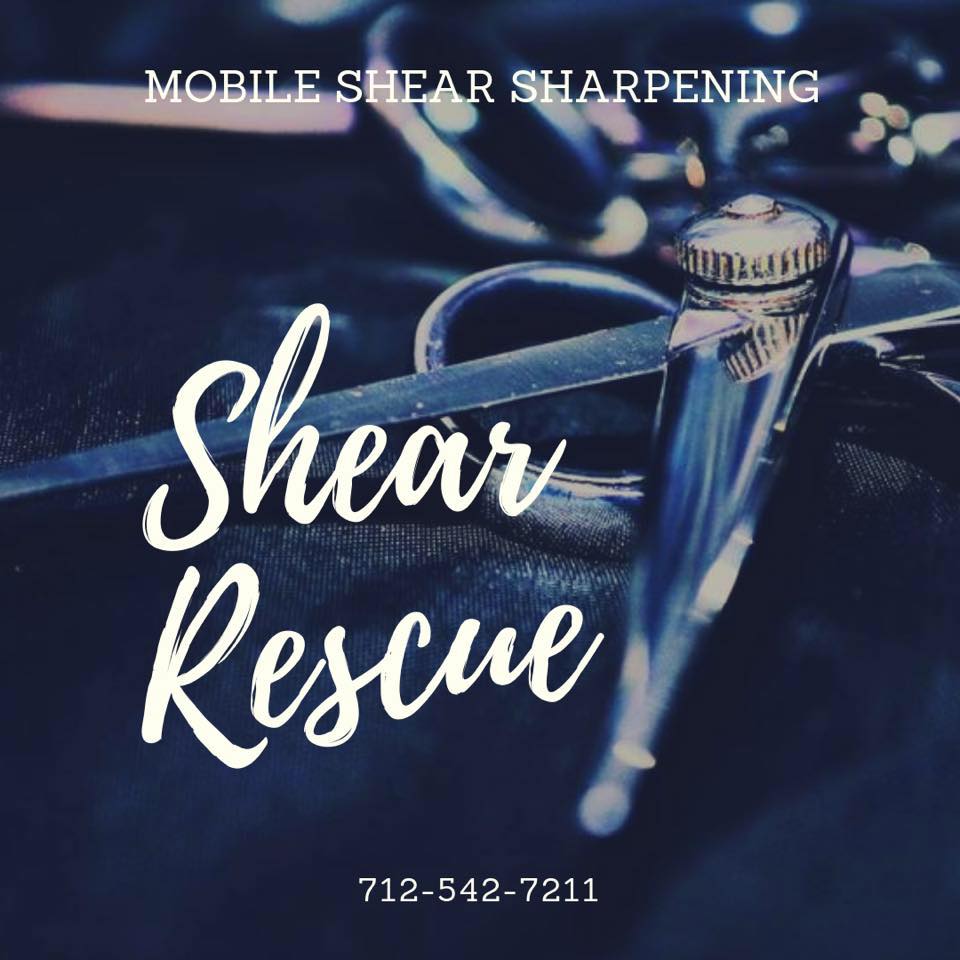 Shear Rescue | Diagonal IA