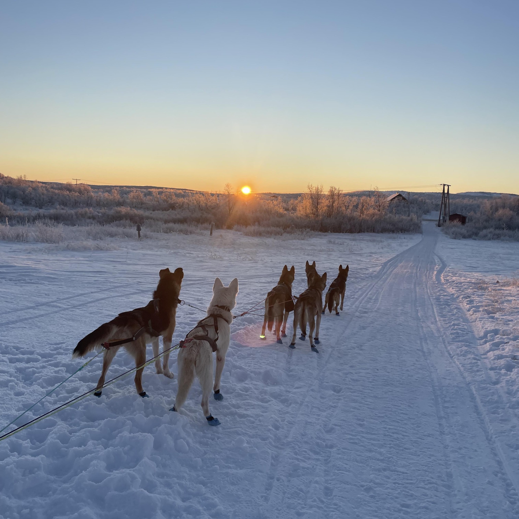 Dette her er noe vi aldri trodde kunne... - Team Husky Riders | Facebook