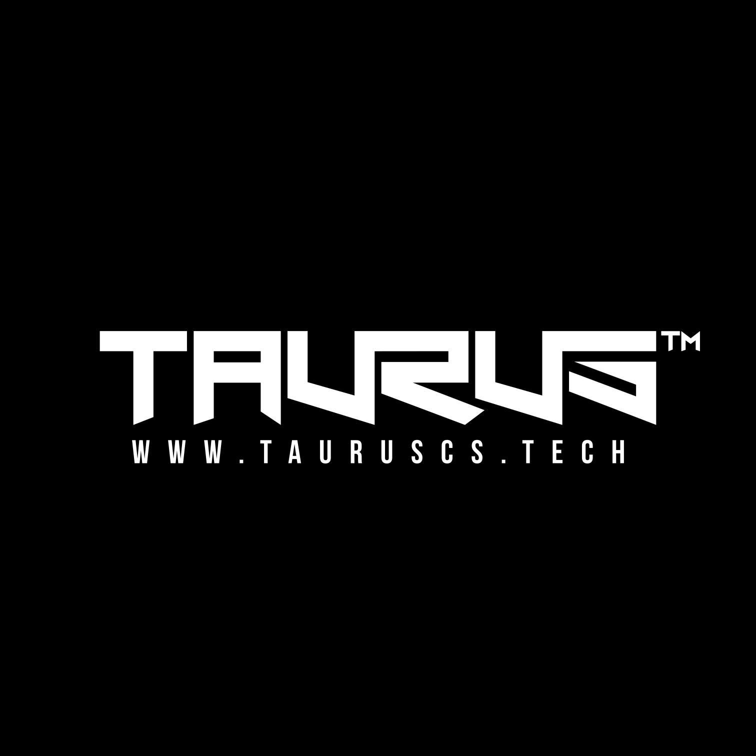 Taurus Computer System