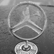 Profile for Mercedes Freunde Bayern