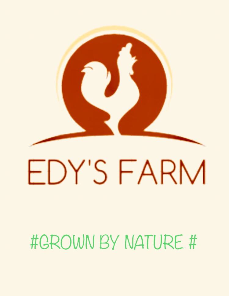 Edy’s Farm