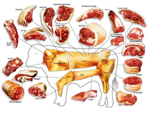 PD. H. IMRON ROSADI FRESH MEAT SUPPLIER | Jakarta