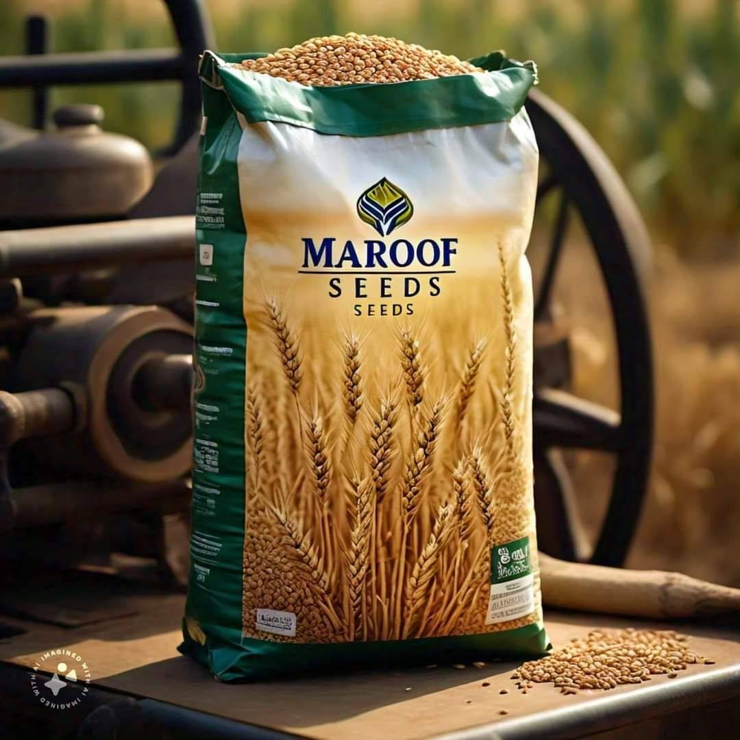 Maroof Seed's / Maroof Agro chemicals PVT | Dera Ismail Khan