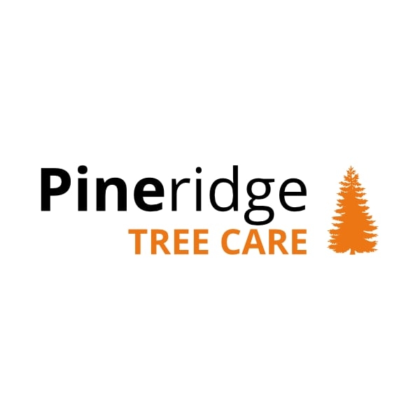 Pineridge Tree Care | Addlestone