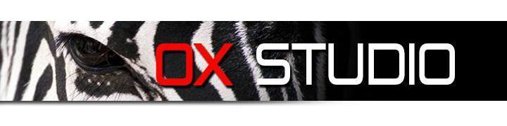 OX Studio