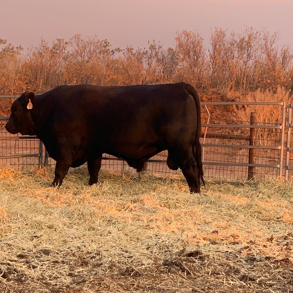 E3 Ranch LLC.