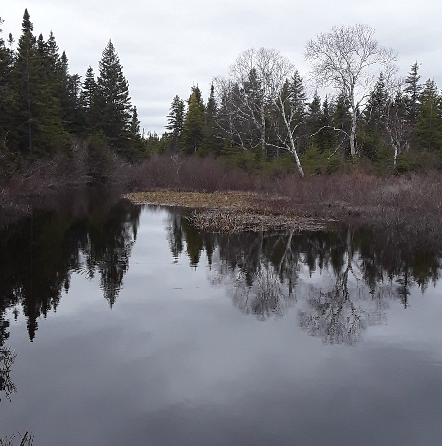 Gander Bay Connect | Kevin Hodder from gander bay is holding his staff ...