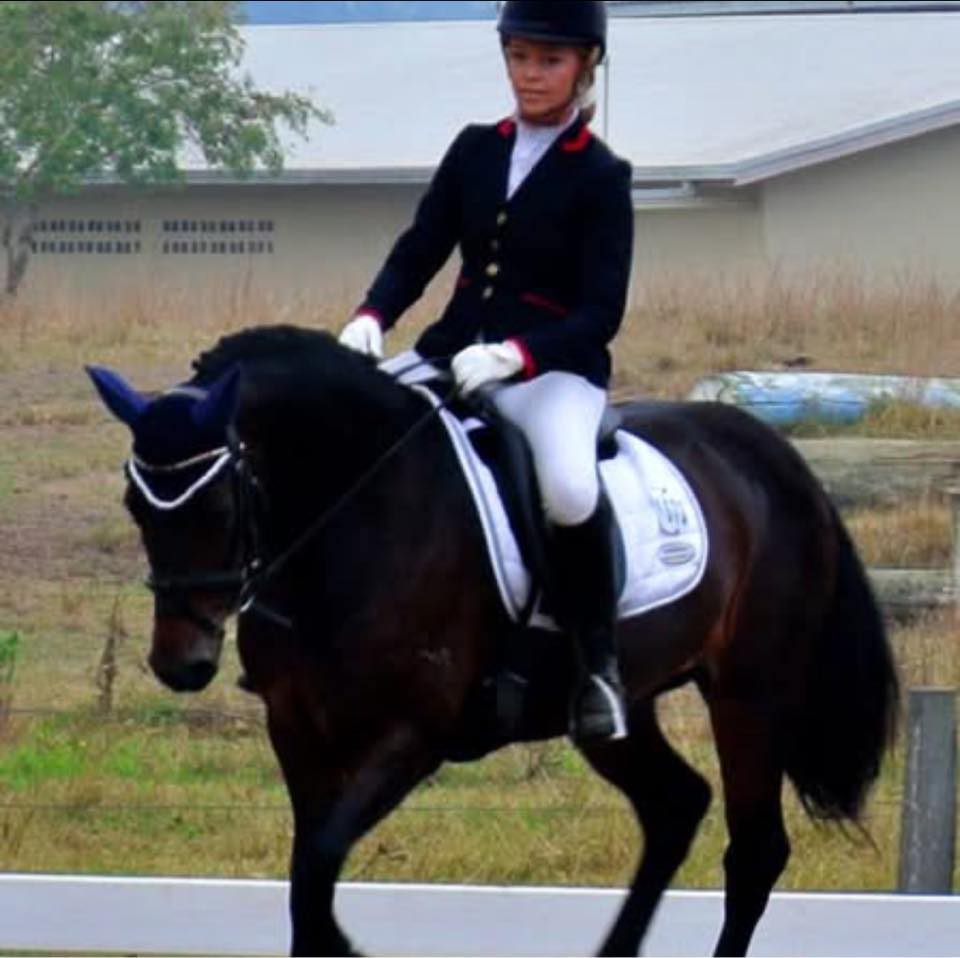 Grande Crest Horses at Rushforth | Grafton NSW