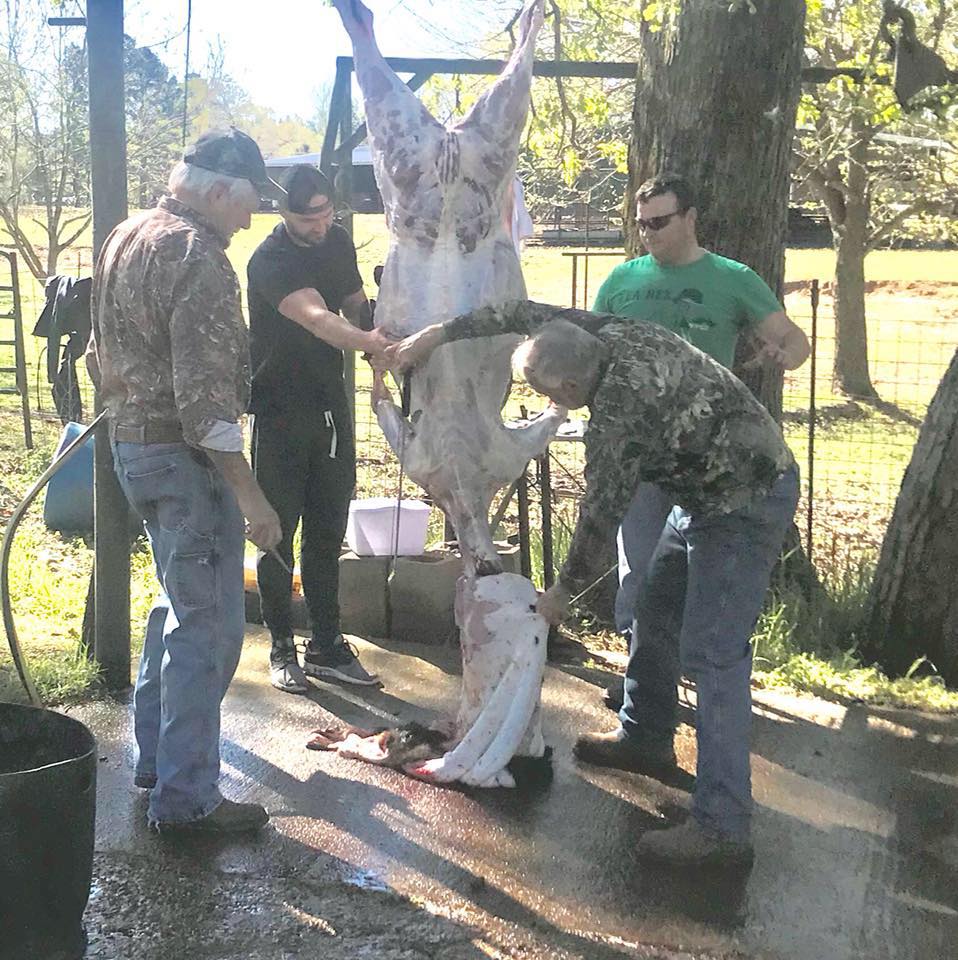 Edwards Estate Farm & Ranch | Cotton Valley LA