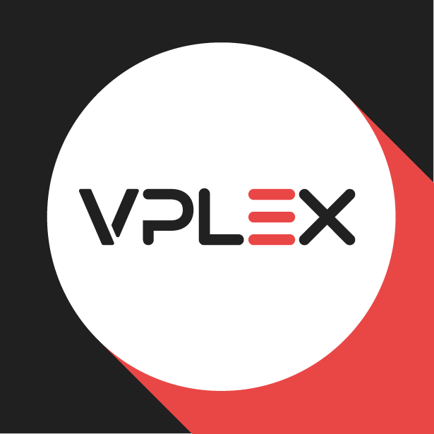 브이플렉스vplex
